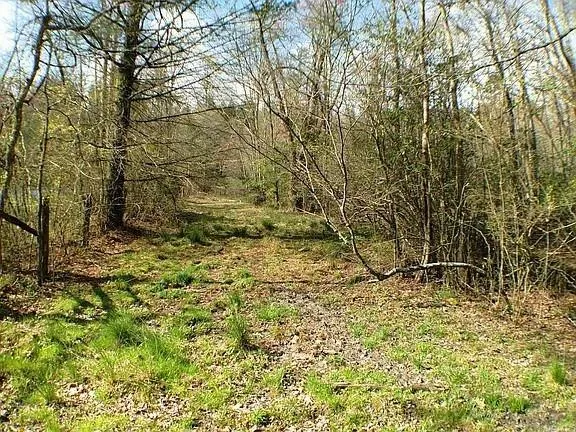 0 Doublehead Gap Road, Blue Ridge, Georgia 30513