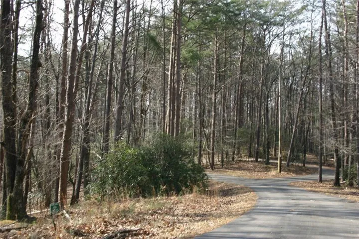 1211 Oglethorpe Mountain Court