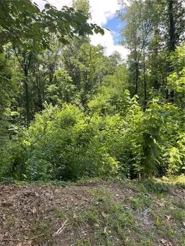 609 Ann Court, Woodstock, Georgia 30188