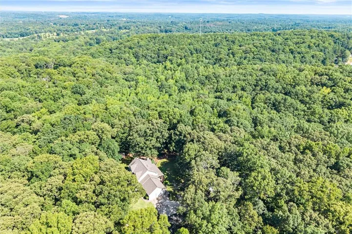 Expansive wooded landscape featuring a single-family residence with a gray shingle roof