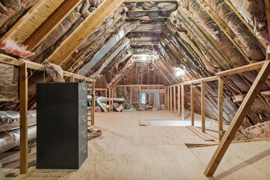 So Much Potential Here! So Much Potential Here!