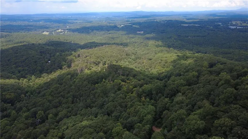 Expansive wooded landscape featuring a diverse canopy of mature trees, rolling topography, and distant hills