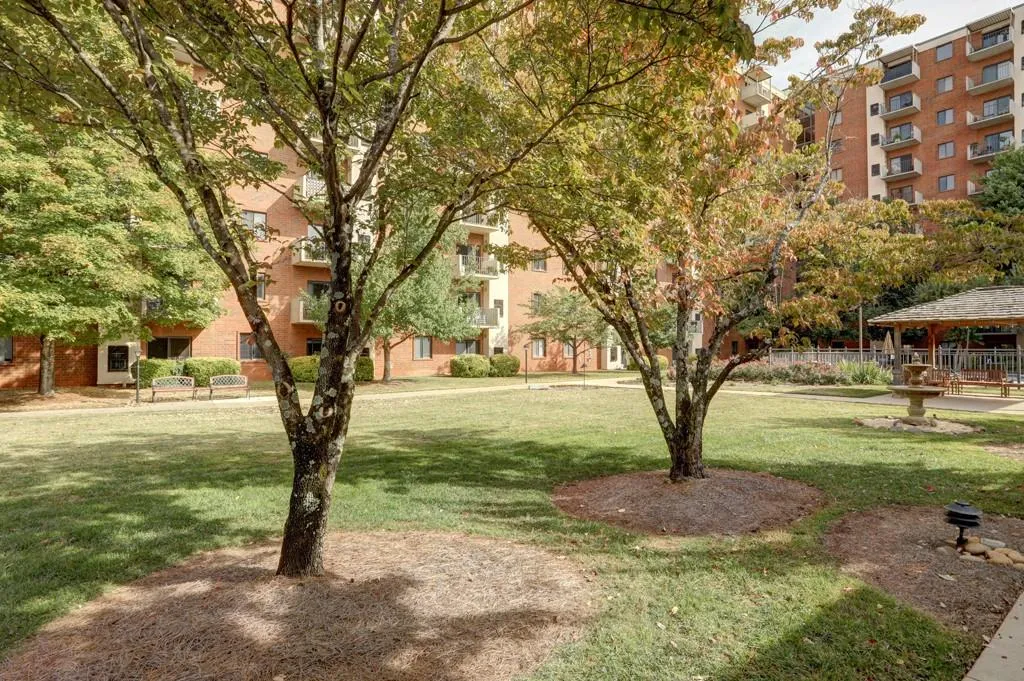 Surrounding community with a yard