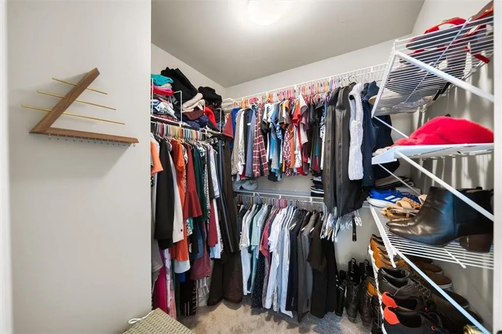 Spacious closet featuring carpet