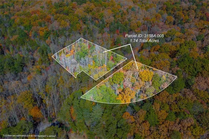 N/a Willard Mountain Road, Ellijay, Georgia 30513