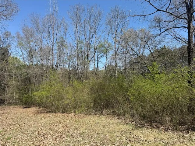78 Mullinax Road, Taylorsville, Georgia 30178