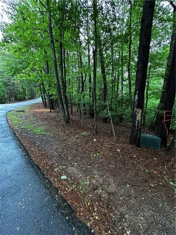 00 Lazy River Lane, Ellijay, Georgia 30540