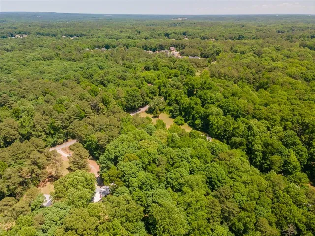 Expansive wooded landscape featuring mature trees