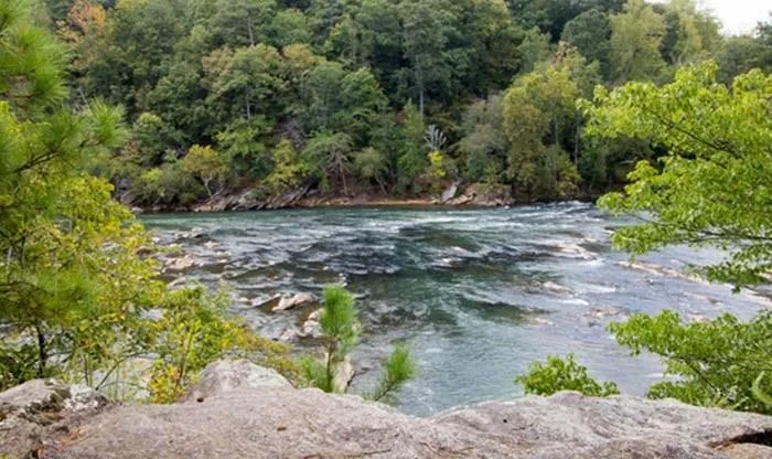 6405 Lucent Lane Unit 75, Sandy Springs, Georgia 30328, 4 Bedrooms Bedrooms, ,3 BathroomsBathrooms,Residential,Sold,6405 Lucent Lane Unit 75,5820921