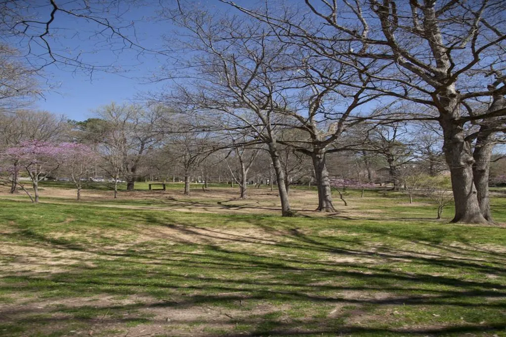 4510 Collins Avenue, Atlanta, Georgia 30342, 4 Bedrooms Bedrooms, ,4 BathroomsBathrooms,Residential,Sold,4510 Collins Avenue,7130532