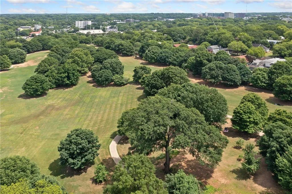 Drone / aerial view of a tree filled landscape