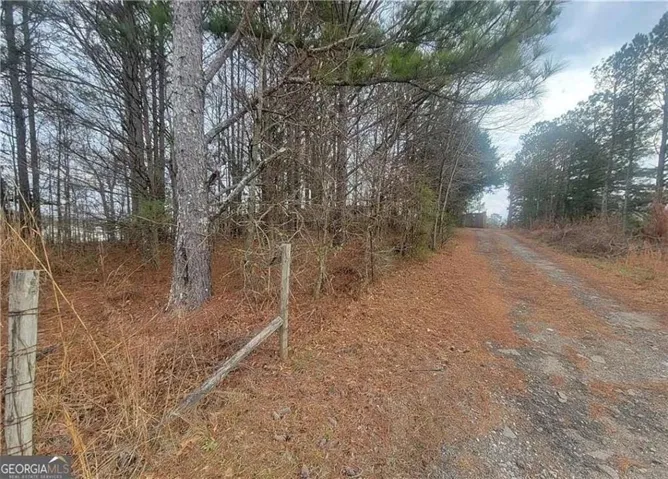 Gravel drive leading to a wooded acreage with mature trees