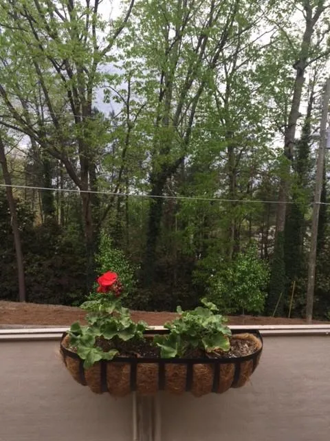 5400 Roswell Road Unit K3, Atlanta, Georgia 30342, 1 Bedroom Bedrooms, ,1 BathroomBathrooms,Residential,Sold,5400 Roswell Road Unit K3,5668584