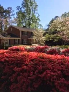 561 Dalrymple Road, Sandy Springs, Georgia 30328, 6 Bedrooms Bedrooms, ,4 BathroomsBathrooms,Residential,Sold,561 Dalrymple Road,5776742