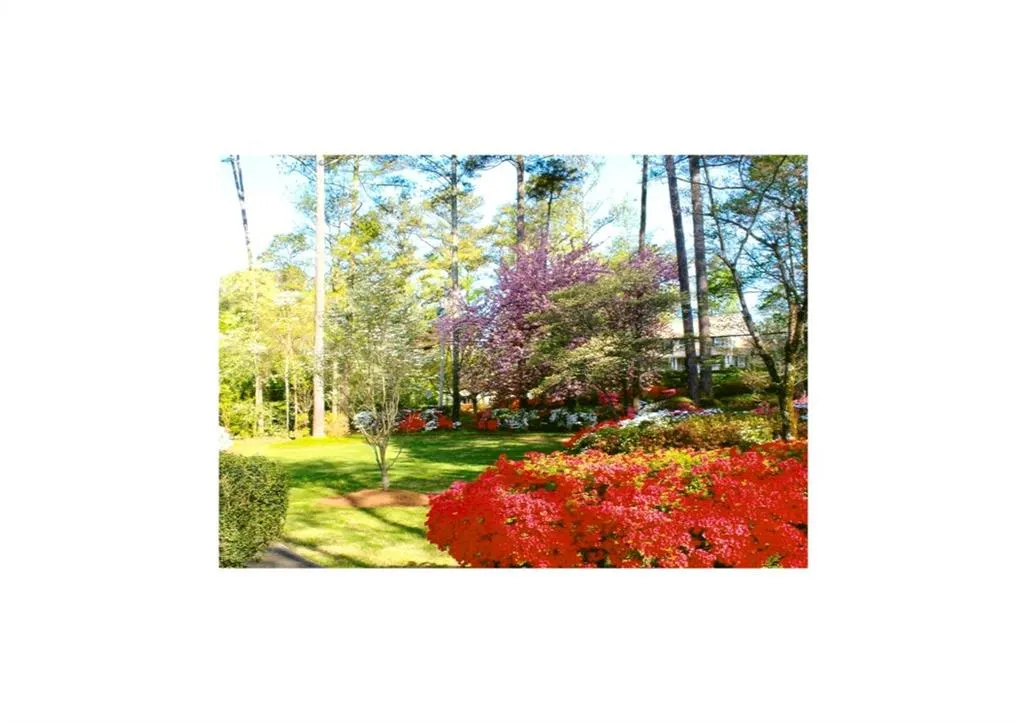 561 Dalrymple Road, Sandy Springs, Georgia 30328, 6 Bedrooms Bedrooms, ,4 BathroomsBathrooms,Residential,Sold,561 Dalrymple Road,5776742