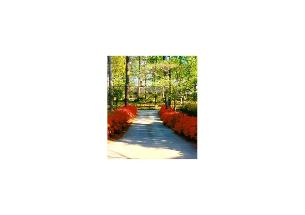561 Dalrymple Road, Sandy Springs, Georgia 30328, 6 Bedrooms Bedrooms, ,4 BathroomsBathrooms,Residential,Sold,561 Dalrymple Road,5776742