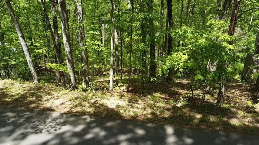 110 Honeysuckle Drive, Cumming, Georgia 30040
