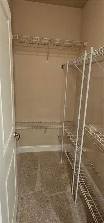 Walk in closet with carpet