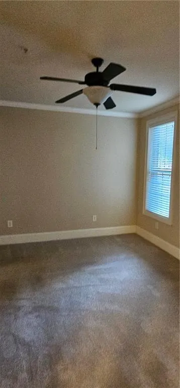 Master room featuring carpet and ceiling fan