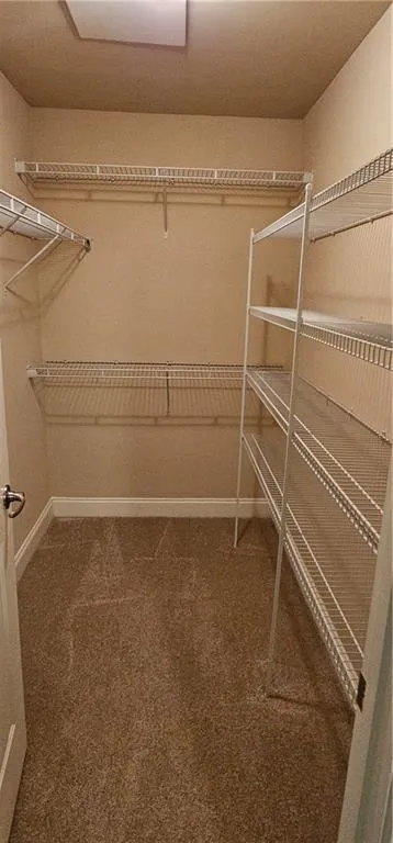Spacious closet featuring carpet flooring