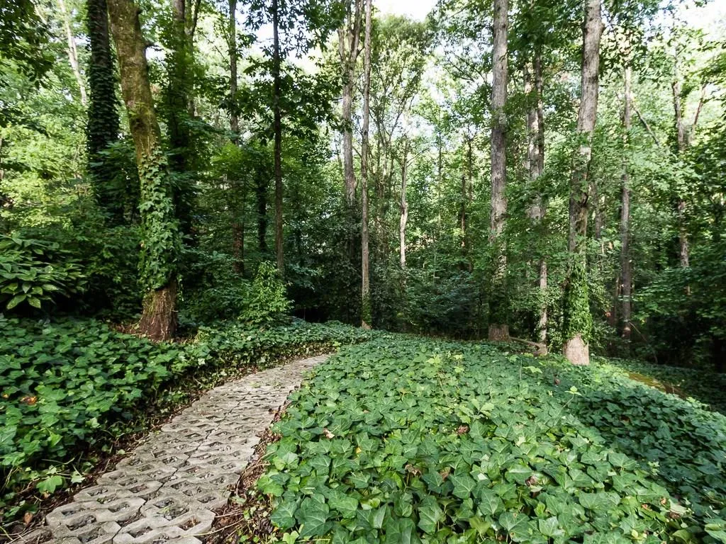 5164 Timber Trail South Ne, Atlanta, Georgia 30342, 4 Bedrooms Bedrooms, ,2 BathroomsBathrooms,Residential,Sold,5164 Timber Trail South Ne,5729808