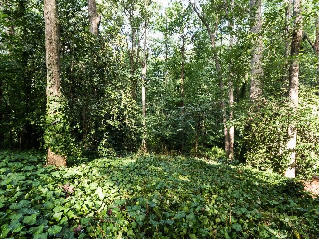 5164 Timber Trail South Ne, Atlanta, Georgia 30342, 4 Bedrooms Bedrooms, ,2 BathroomsBathrooms,Residential,Sold,5164 Timber Trail South Ne,5729808