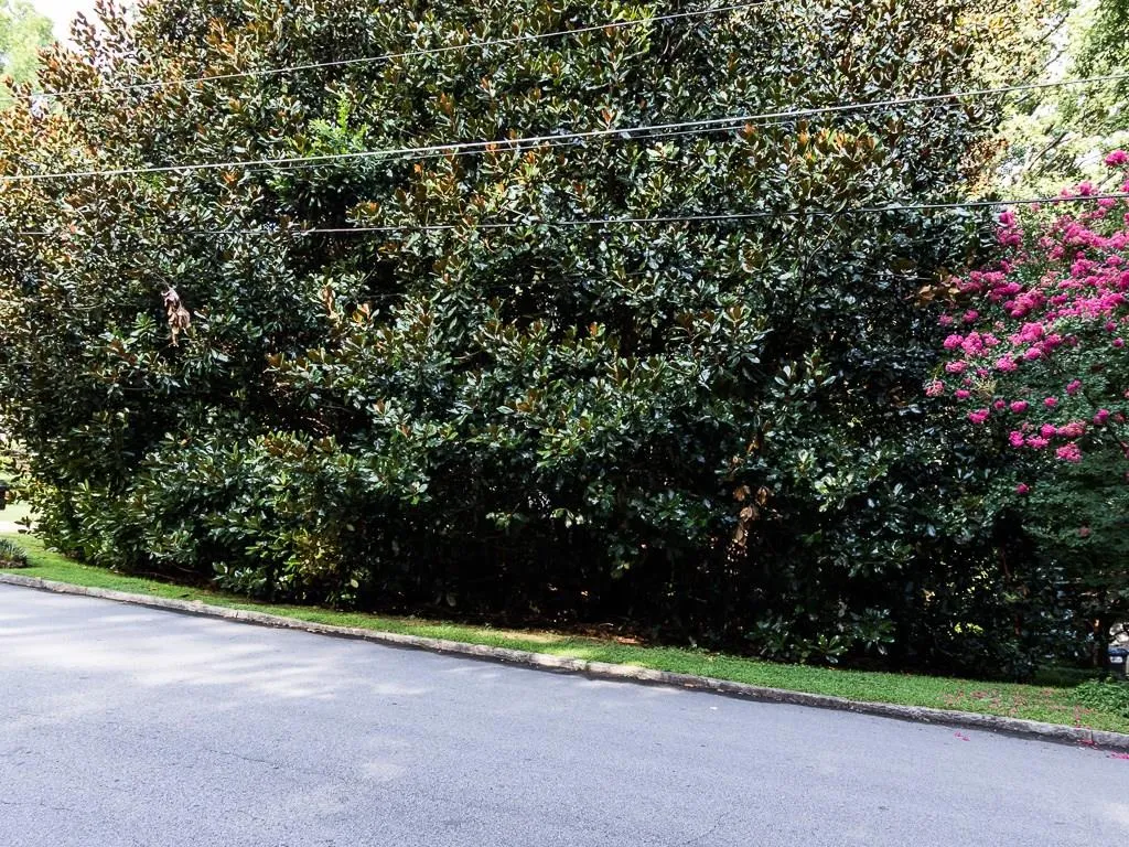 5164 Timber Trail South Ne, Atlanta, Georgia 30342, 4 Bedrooms Bedrooms, ,2 BathroomsBathrooms,Residential,Sold,5164 Timber Trail South Ne,5729808