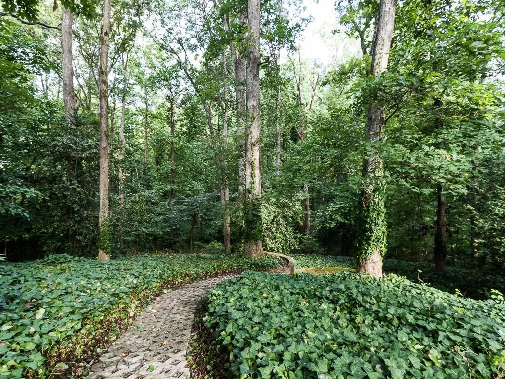 5164 Timber Trail South Ne, Atlanta, Georgia 30342, 4 Bedrooms Bedrooms, ,2 BathroomsBathrooms,Residential,Sold,5164 Timber Trail South Ne,5729808