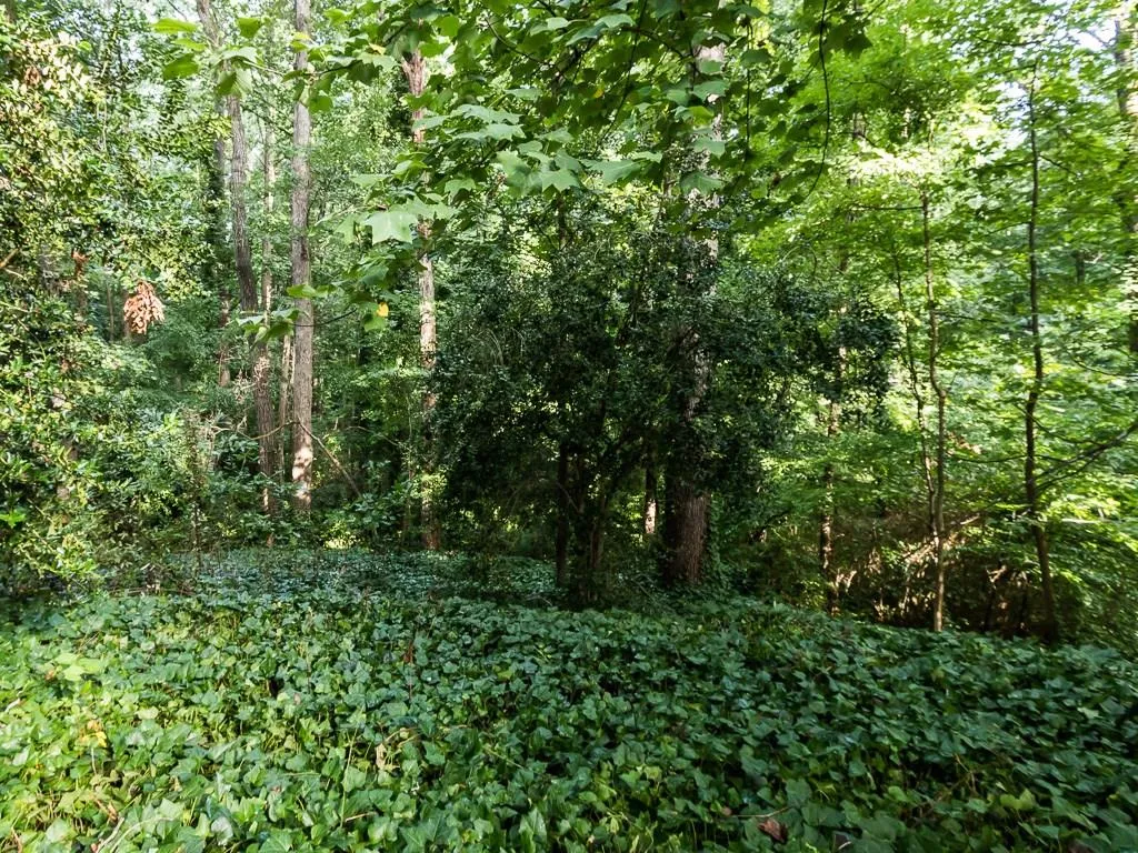 5164 Timber Trail South Ne, Atlanta, Georgia 30342, 4 Bedrooms Bedrooms, ,2 BathroomsBathrooms,Residential,Sold,5164 Timber Trail South Ne,5729808