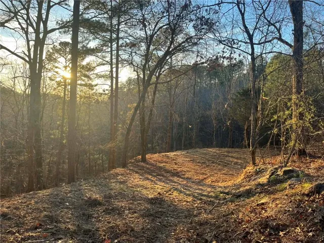 331 Paladin Drive Ne, Ranger, Georgia 30734