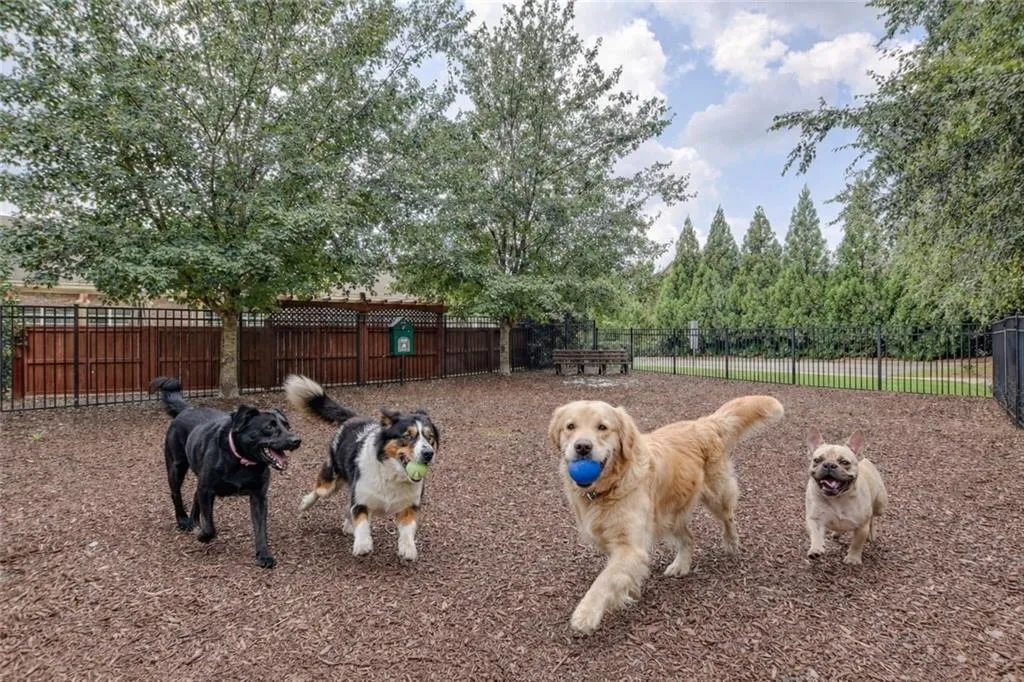 688 Lockton Place, Atlanta, Georgia 30342, 4 Bedrooms Bedrooms, ,4 BathroomsBathrooms,Residential,For Sale,688 Lockton Place,7740814