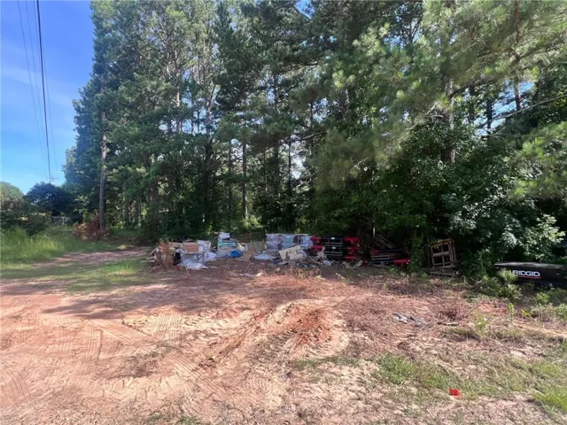 Wooded perimeter featuring mature evergreen trees