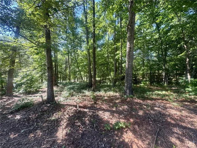 Wooded lot featuring mature trees and natural ground cover