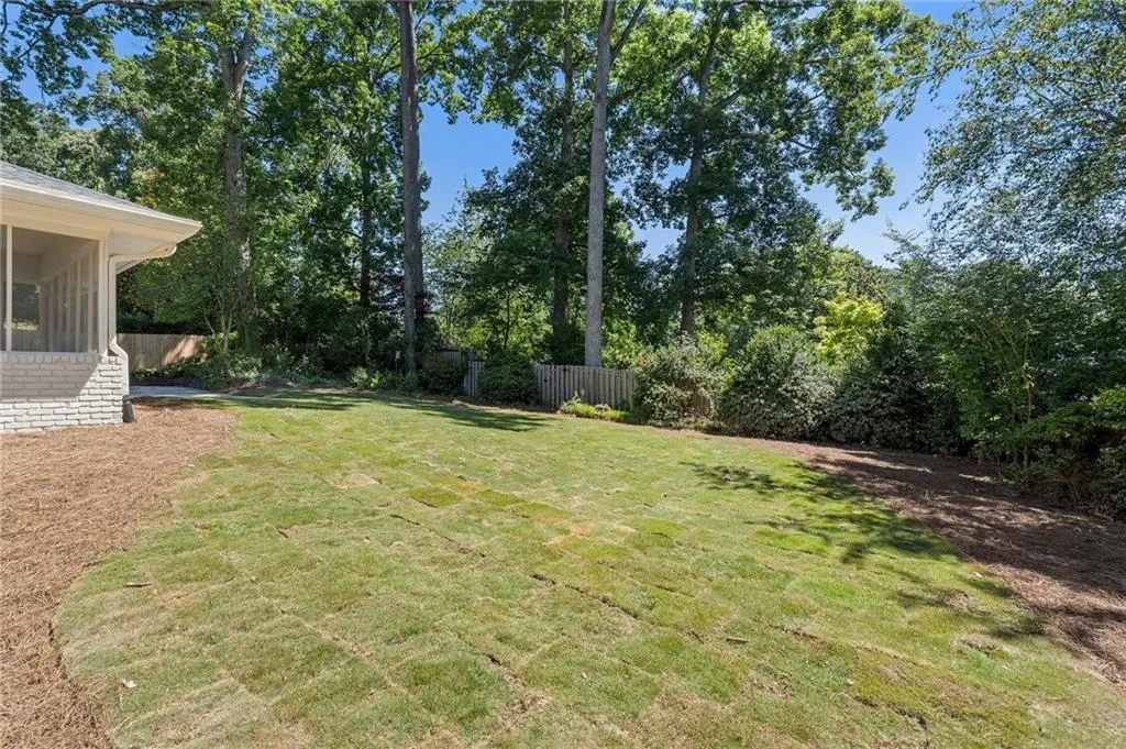 Flat backyard