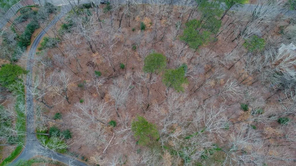 54 Finch Forest Trail, Atlanta, Georgia 30327, ,Land,Sold,54 Finch Forest Trail,6507352