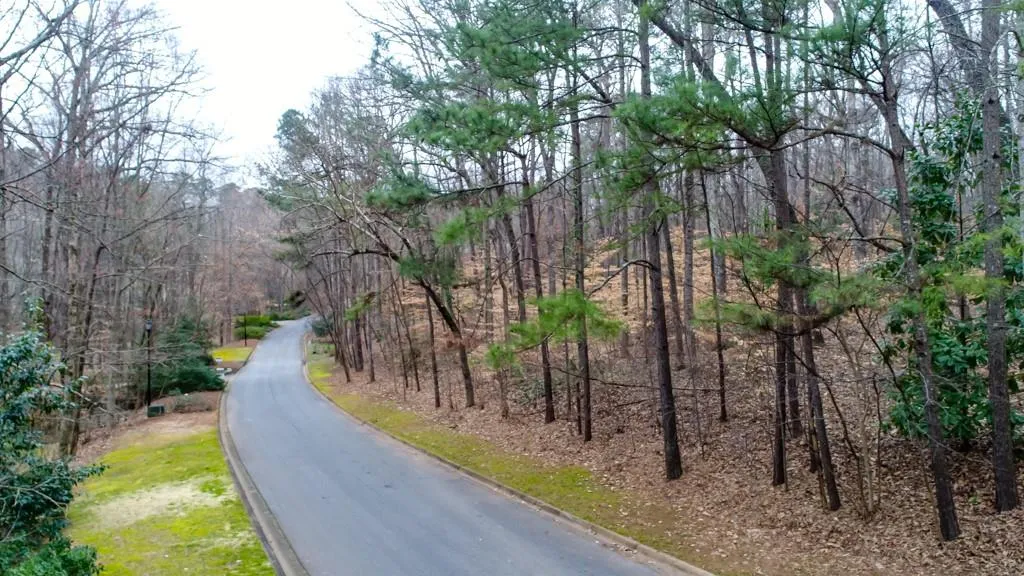 54 Finch Forest Trail, Atlanta, Georgia 30327, ,Land,Sold,54 Finch Forest Trail,6507352