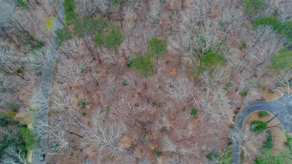 54 Finch Forest Trail, Atlanta, Georgia 30327, ,Land,Sold,54 Finch Forest Trail,6507352