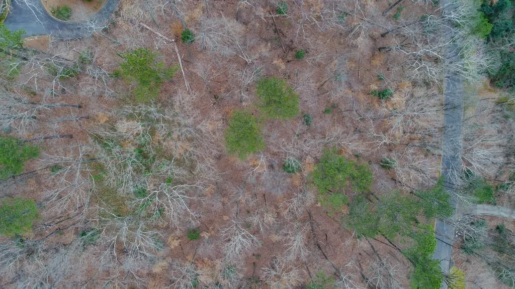 54 Finch Forest Trail, Atlanta, Georgia 30327, ,Land,Sold,54 Finch Forest Trail,6507352