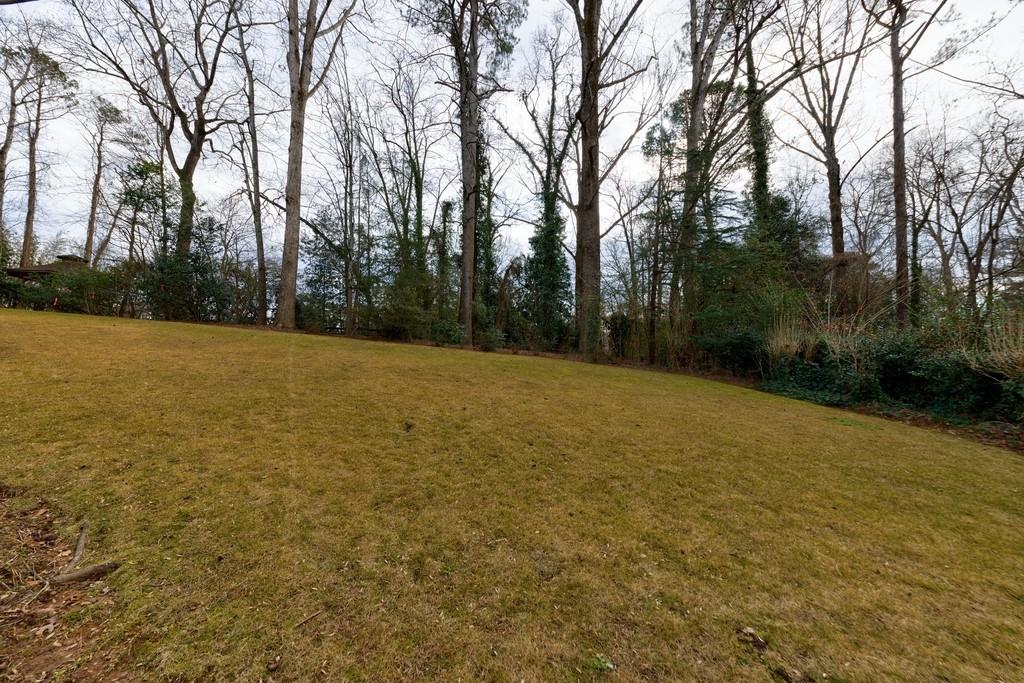 Large green space in the backyard is ideal for playing