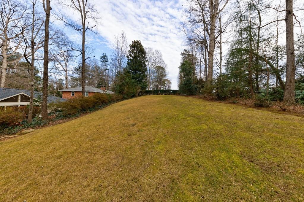 Another view of the backyard