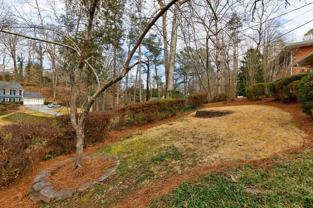 Front yard