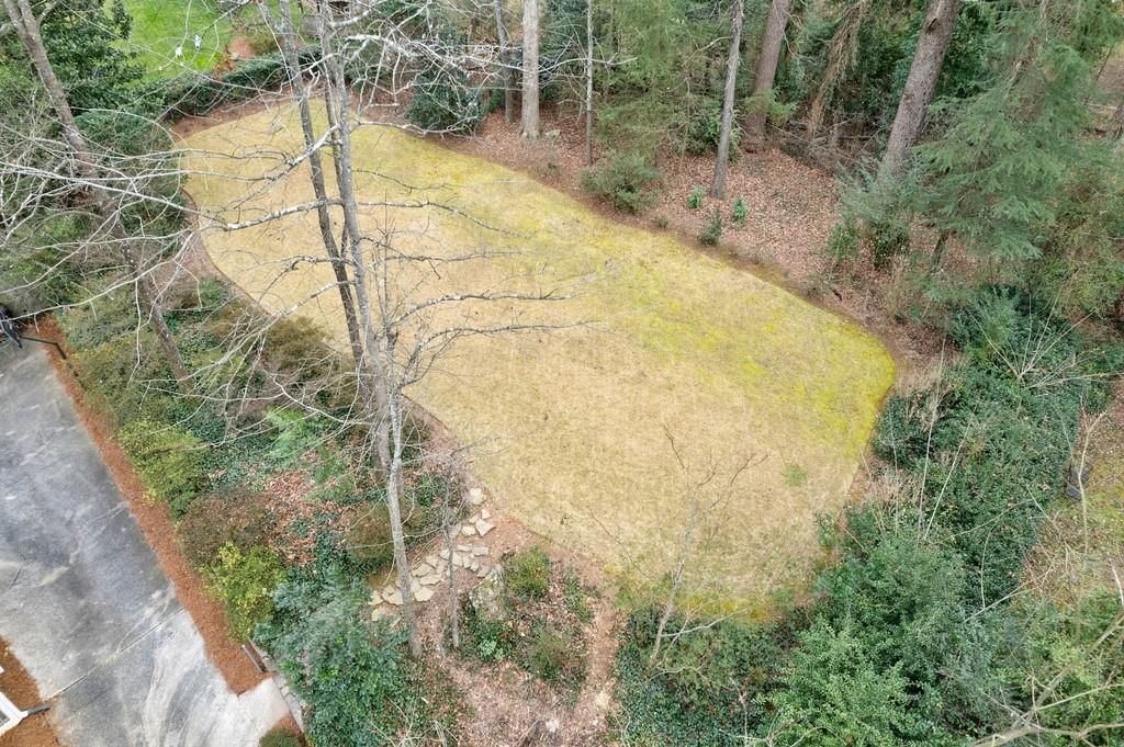 Aerial view of the backyard