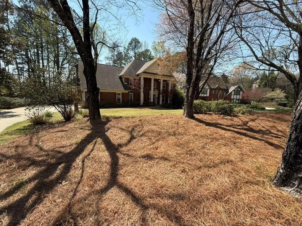 Beautiful Mature Landscaping