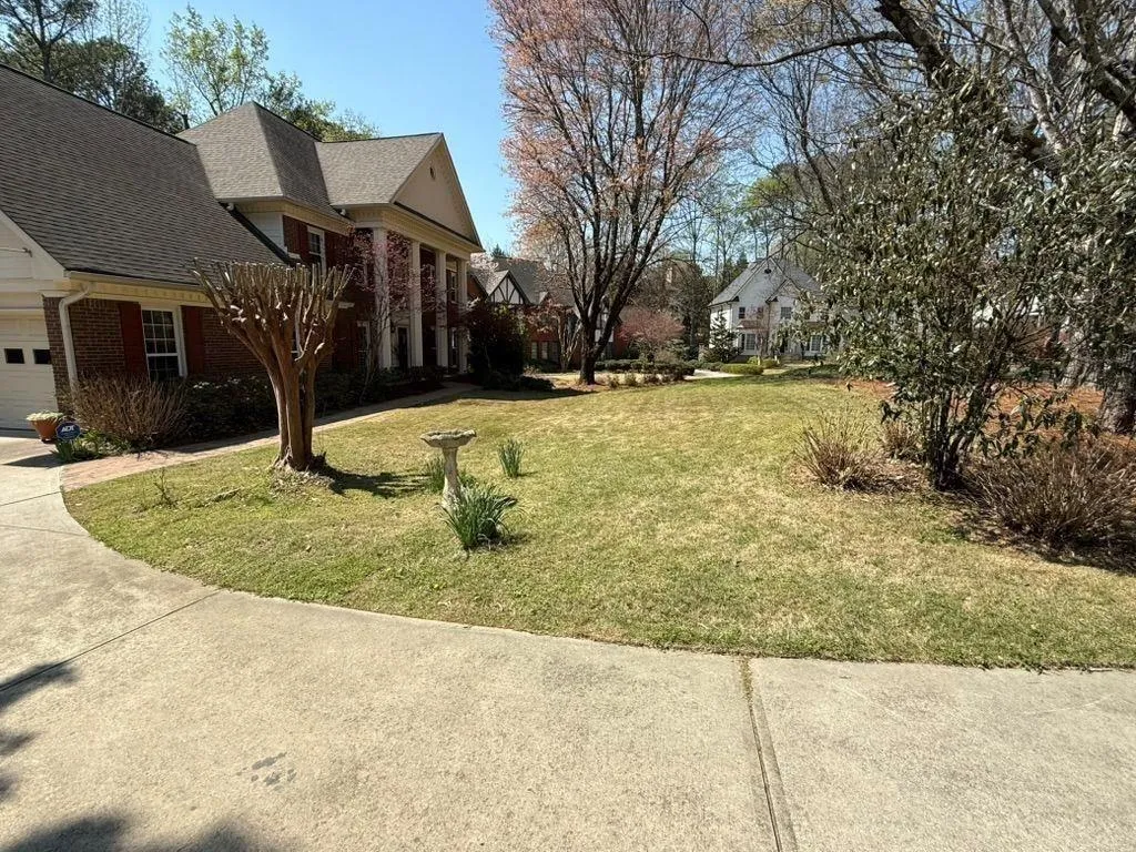 Beautiful Front Yard View