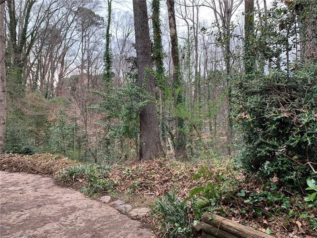 260 Forest Hills Drive, Sandy Springs, Georgia 30342, 4 Bedrooms Bedrooms, ,3 BathroomsBathrooms,Land,Sold,260 Forest Hills Drive,7031053 260 Forest Hills Drive, Sandy Springs, Georgia 30342, 4 Bedrooms Bedrooms, ,3 BathroomsBathrooms,Land,Sold,260 Forest Hills Drive,7031053