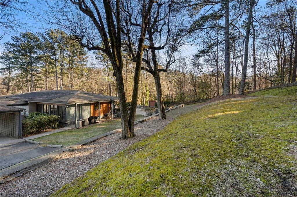 So many possibilities