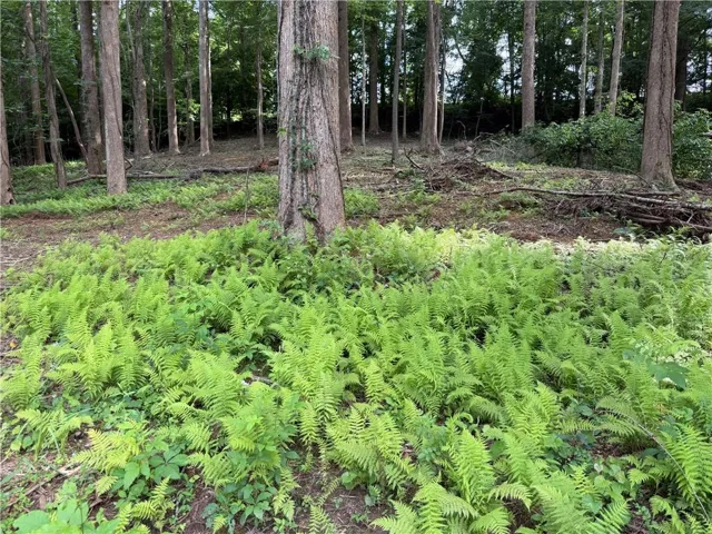 0 Martin Head Circle, Dahlonega, Georgia 30533