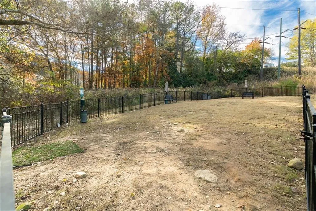 Dog Park