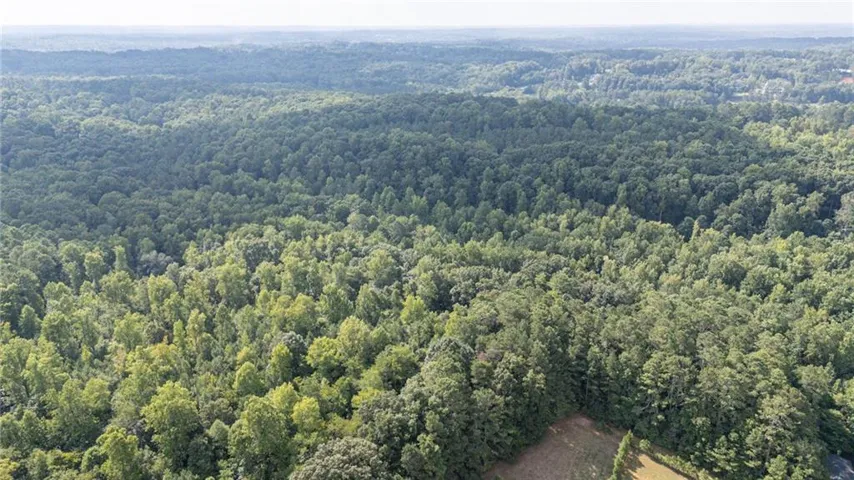 Expansive forested landscape featuring dense tree coverage