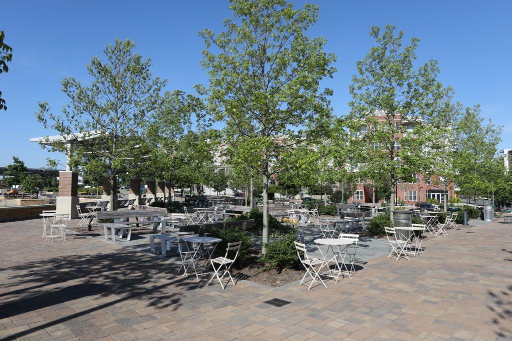 Georgia 30328, ,3 BathroomsBathrooms,Residential,Sold,7256887